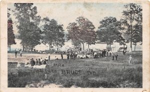 J64/ Bruce Lake Indiana Postcard c1910 Park Crowd Lake Shore 130