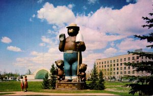 Minnesota Koochiching County Smokey Bear