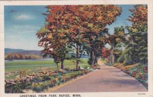 Minnesota Greetings From Park Rapids 1936 Curteich