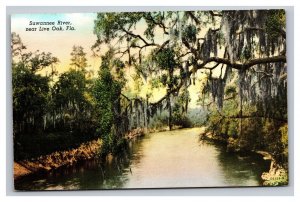 Vintage 1940s Postcard Suwanee River, Live Oak, Florida