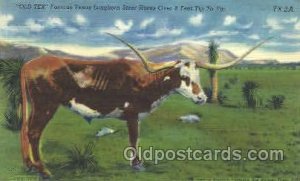 Texas Longhorn Western Cowboy, Cowgirl Unused 