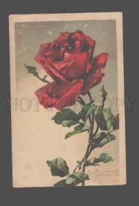 3080533 Red ROSES w/ Dew by KLEIN vintage PFB Publ. PC