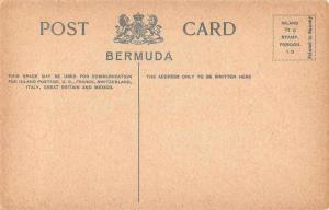 Bermuda Stone Quarry Scene Antique Postcard J57556