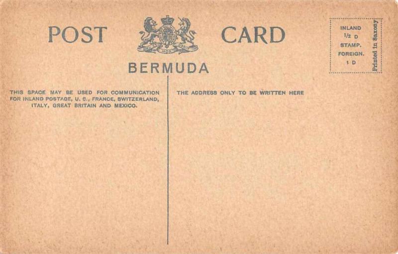 Bermuda Stone Quarry Scene Antique Postcard J57556