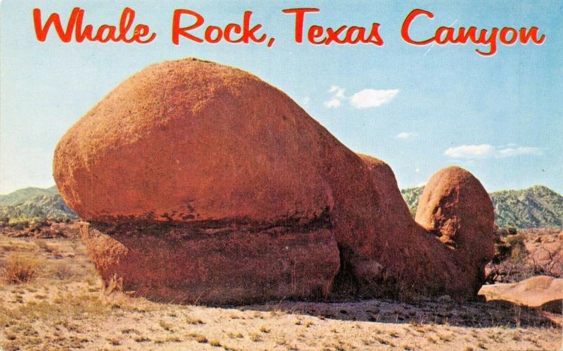 WHALE ROCK TEXAS CANYON ARIZONA-LARGE LETTER-COWBOY ON REVERSE POSTCARD 