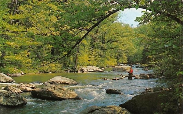 A Fisherman's Paradise in New Brunswick, New Jersey