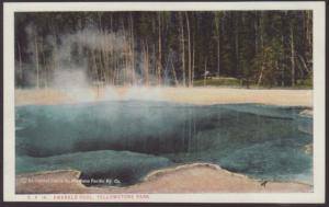 Emerald Pool,Yellowstone Postcard