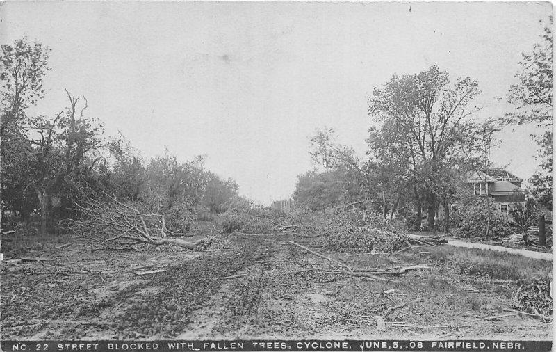 G32/ Fairfield Nebraska RPPC Postcard c1910 Cyclone Disaster Fallen Trees