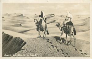 Africa Egypt photo postcard - the ship of the desert ethnics , camels