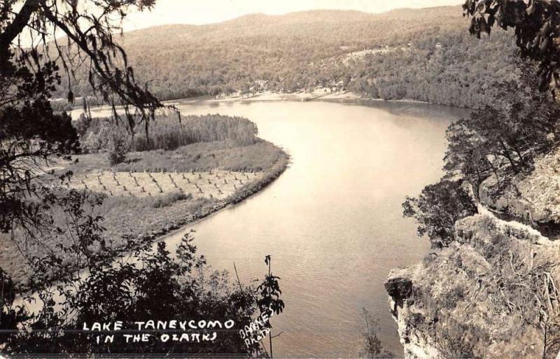 Lake Taneycomo Missouri Birdseye View Real Photo Antique Postcard K51316