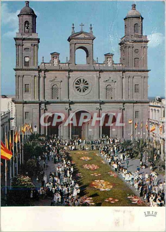 The Modern Postcard Palmas The Cathedral and the flower carpet of God Fete