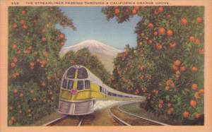 Trains Steamliner Passing Through A California Orange Grove