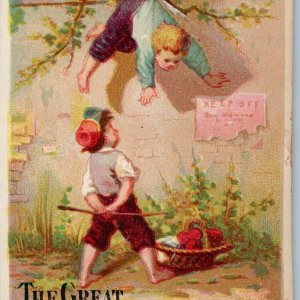 c1880s Great Atlantic & Pacific Tea Trade Card Boy Mischief Apple Thief Wall C54