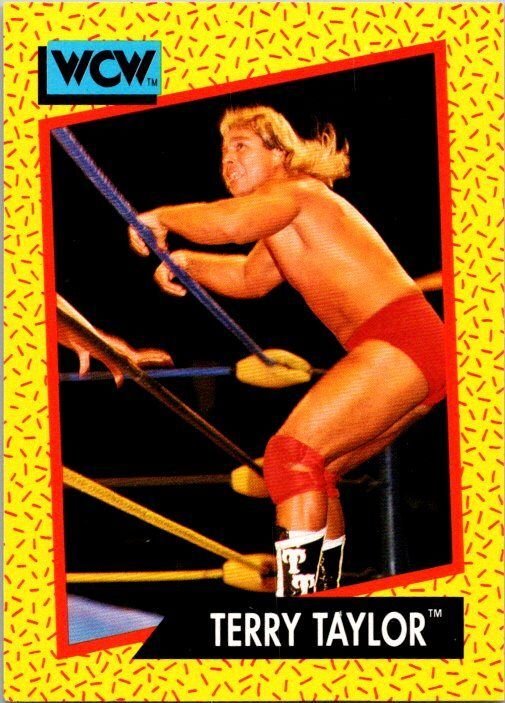 1991 WCW Wrestling Card Terry Taylor sk21131