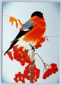 BULLFINCH Forest Bird on a Rowan Branch by Wock Vivid New Unposted Postcard