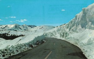 C.1965 Trail Ridge Road Snow Capped Never Summer Range Mountains Co. Postcard 