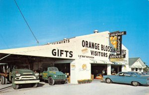 Largo, Florida ORANGE BLOSSOM GROVES Roadside Cars Trucks 1960s Vintage Postcard