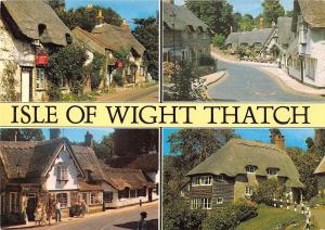 BR89784 isle of wight thatch  uk