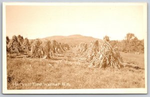Warner New Hampshire Farm Harvest Time~Rows Of Bundled Corn Stalks~1930s RPPC
