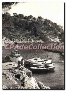 Postcard Modern Pine Harbor Cassis and creeks