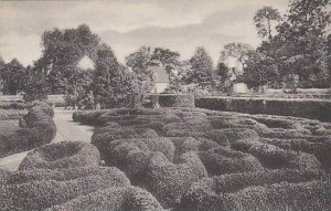 Virginia Mount Vernon Flower Garden Looking East Showing Boxwood Parterre Hom...