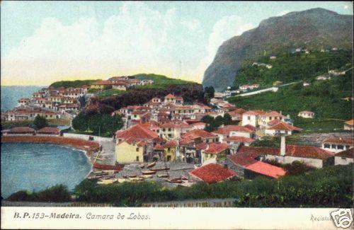 portugal, MADEIRA, Camara de Lobos, Panorama (1910s)