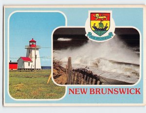 Postcard New Brunswick Canada