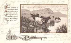 Vintage Postcard 1912 A Happy Birthday Animal Pasture Cows On River Greetings