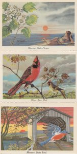 Missouri State Cardinal Bluebird Bird Flower 3x Postcard s