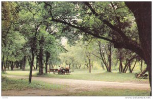 WALSH, Alberta, Canada, The shaded beauty of a roadside park, 40-60s