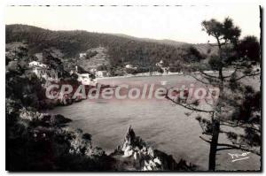 Postcard Old Env Lavandou Aiguebelle Bay