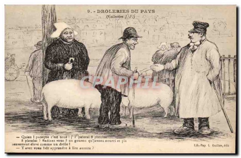 Old Postcard Drolleries country Pig Pig Humor