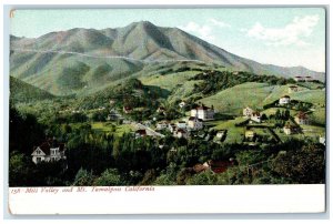 c1905 Mill Valley & Mt. Tamalpais Houses Buildings Grove California CA Postcard 