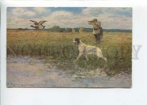 3183684 RUSSIA VOROSHILOV duck hunting SETTER dog Razsvet # 47