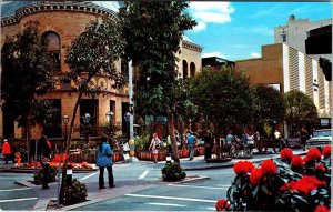 Postcard STREET SCENE Santa Cruz California CA AK9656