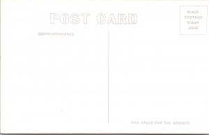 RPPC Monforts Cattle Feed Lot Greeley CO Photo Postcard