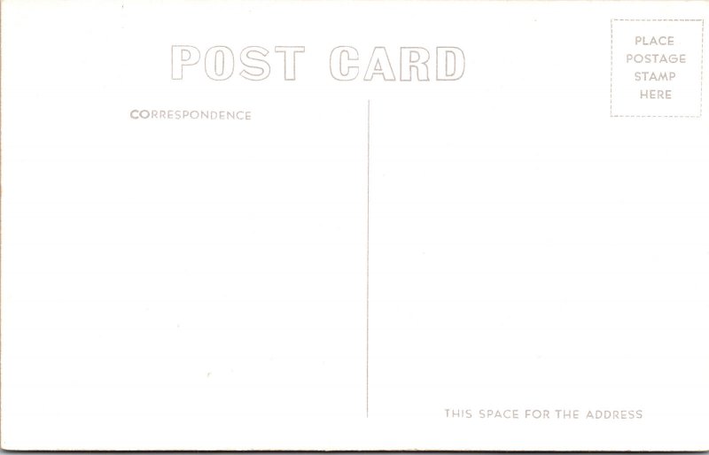 RPPC Monforts Cattle Feed Lot Greeley CO Photo Postcard