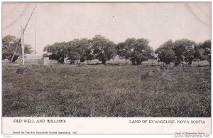 Old Well & Willows , Land of Evangeline , Nova Scotia , Canada , 00-10s
