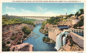 Vintage Postcard Genesee River Gorge Park Avenue Bridge Rochester New York NY