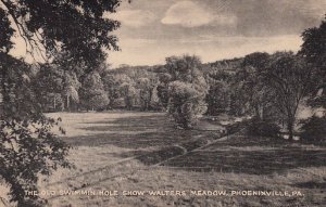 Postcard The Old Swimming Hole Show Walters Meadow Phoenixville PA