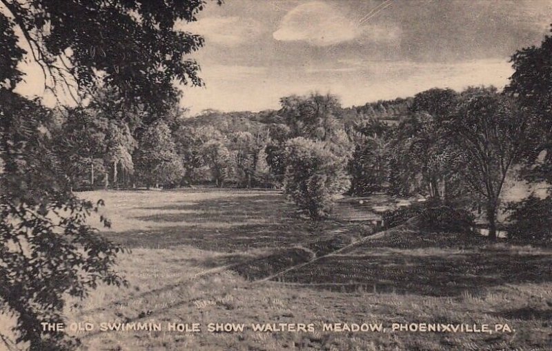 Postcard The Old Swimming Hole Show Walters Meadow Phoenixville PA