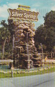 Florida Silver Springs Floridas Silver Springs 1967