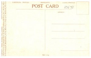 Flock of Sheep, Shepard, Dog