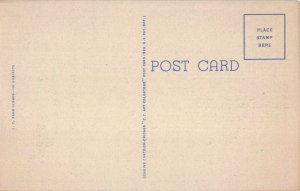 circa 1940's Farmer Tractor Tilling Corn Field Postcard 10c1-703