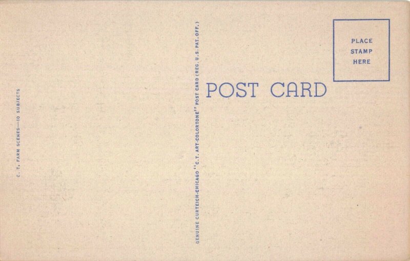 circa 1940's Farmer Tractor Tilling Corn Field Postcard 10c1-703