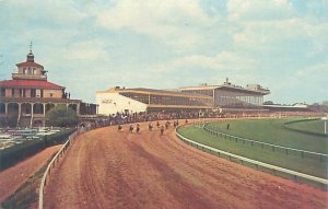 Baltimore Maryland Pimlico Race Course, Horse Racing 1964 Chrome Postcard
