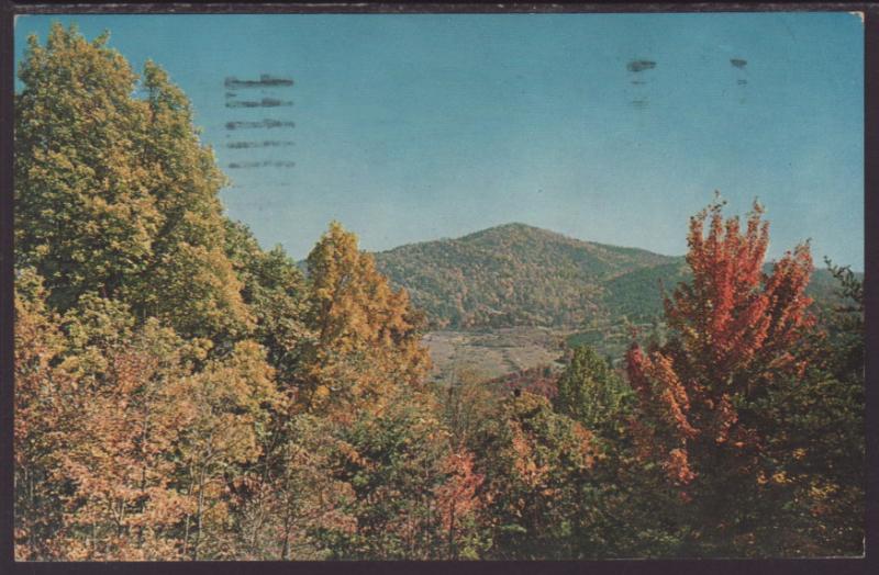 Fall In Virginia Postcard BIN