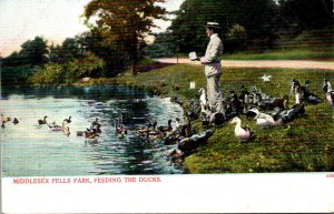 Massachusetts Middlesex Fells Park Feeding The Ducks