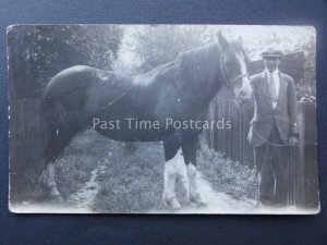 Bucks Wendover HORSE WITH PROUD OWNER early 1900's RP PC by W.H.Christmas