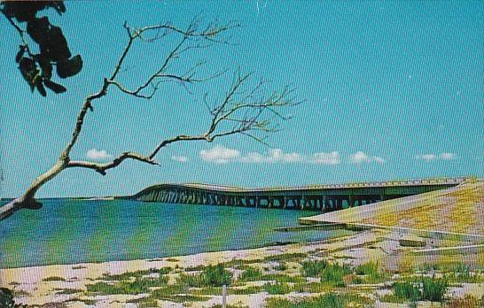 The New Bridge To Tropical Sanibel Island Florida